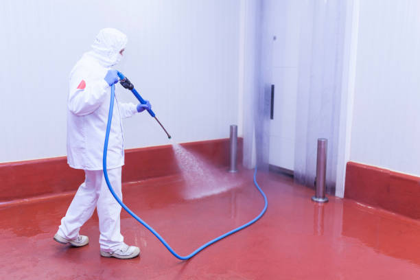 Animal Enclosure Cleaning in Mascotte, FL
